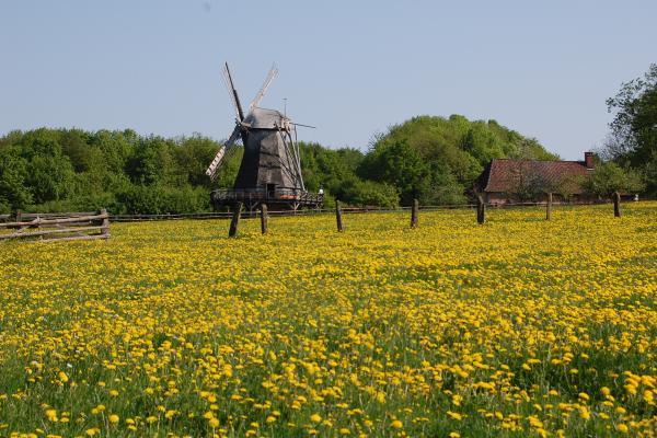 Teutoburger Wald / Detmold / Stadt Detmold LWL-Freilichtmuseum Detmold