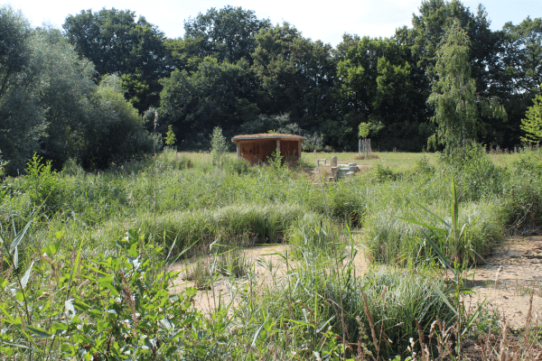 Moorlandschaft