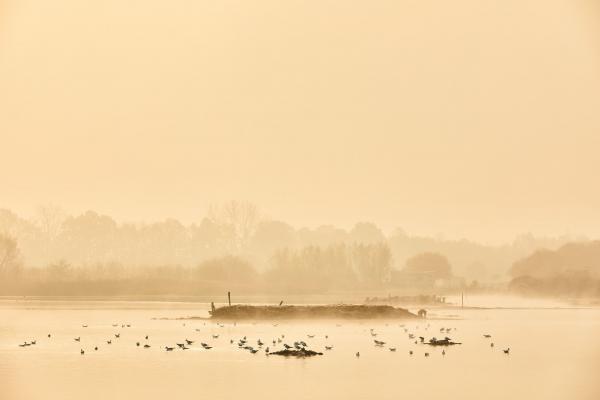 Münsterland e.V./ Philipp Fölting muenster-rieselfelder-winter-1