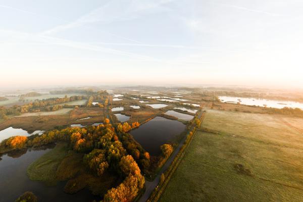Münsterland e.V./Sebastian Lehrke Riselfelder aus der Vogelperspektive
