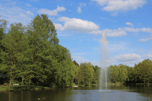 Springbrunnen im See