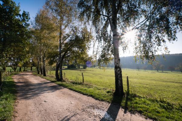 Fromberger Teutoburger Wald / Detmold / Kupferberg