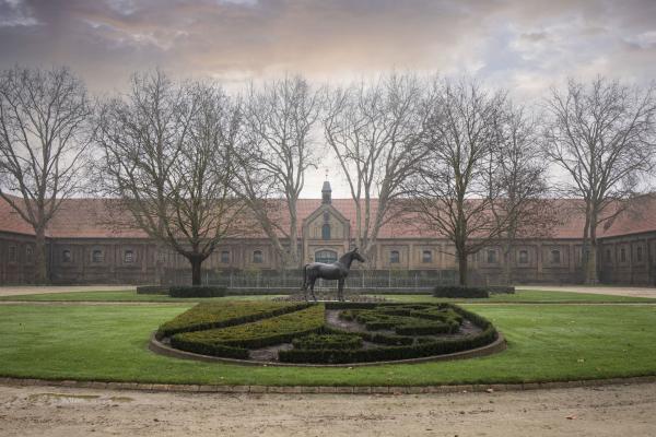 Münsterland e.V. / Philipp Fölting warendorf-landgestuet-nrw-1