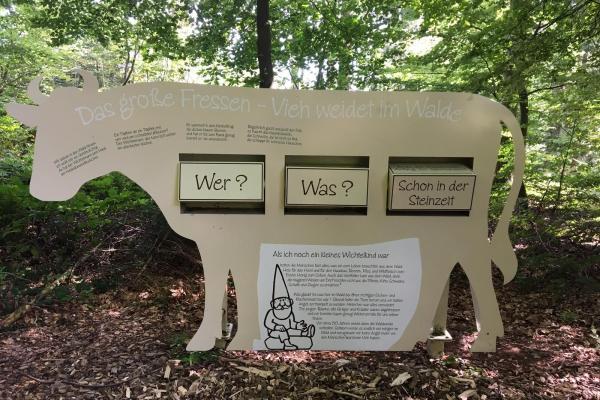 Tourismus & Kulturring Einbeck; Katja Neiseke-Eggers Wichtelpfad Sievershausen_Vieh weidet im Wald